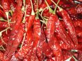 dried red chilli