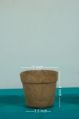 Coir Pots