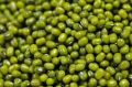 mung beans